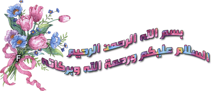 كتاب فن العيش بسلام محمد رضى عمرو